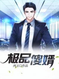 极品傻婿封面