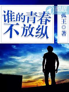 谁的青春不放纵封面