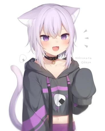 变身猫娘的我被大姐姐捡走了封面