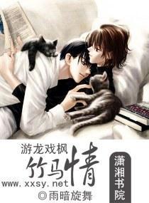 游龙戏枫竹马情封面