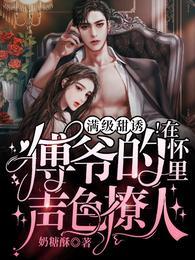 满级甜诱！在傅爷的怀里声色撩人封面