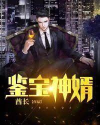 鉴宝神婿封面