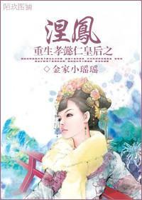 重生孝懿仁皇后之涅凤封面