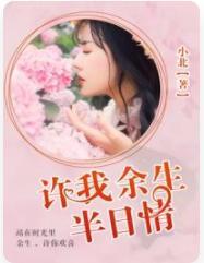 许我余生半日情封面