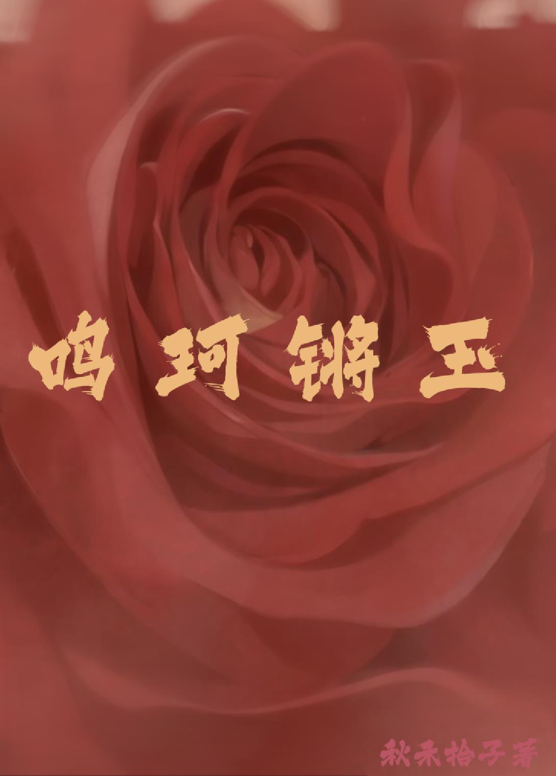 鸣珂锵玉封面