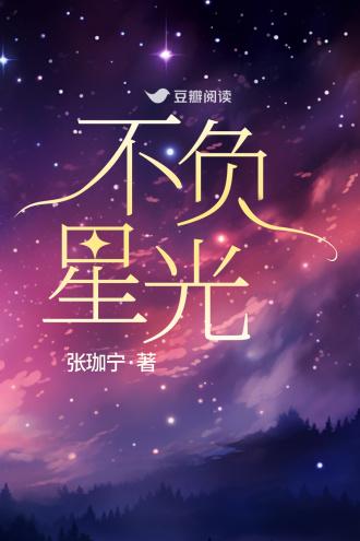 不负星光封面