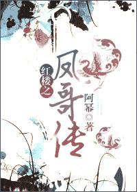 红楼之凤哥传封面