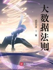 大数据法则封面