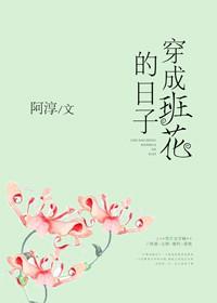 穿成班花的日子封面