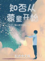 知否从蒙童开始封面