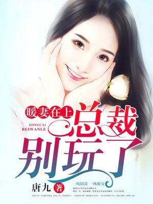 我曾爱你如尘埃封面