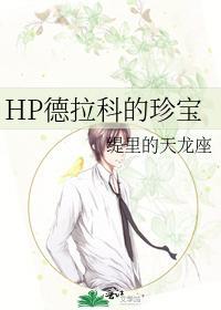 HP德拉科的珍宝封面
