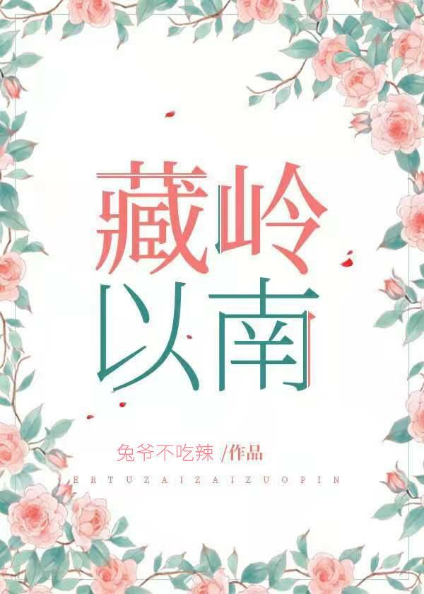藏岭以南封面
