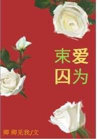 束爱为囚（简体）封面
