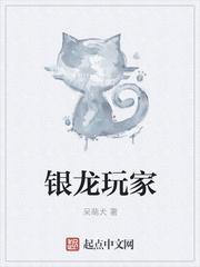 银龙玩家封面