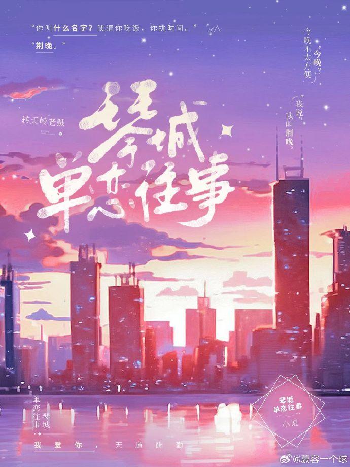 琴城单恋往事封面