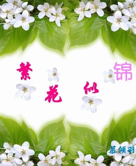 繁花似锦封面