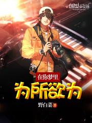 我在梦里为所欲为封面