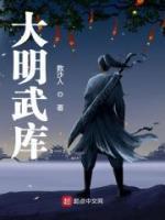 大明武库封面