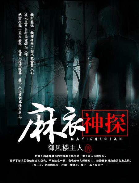 麻衣神探封面