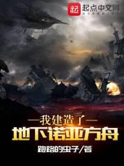 我建造了地下诺亚方舟封面