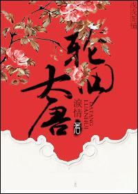 轮回大唐封面