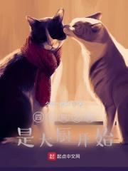 四合院之我是大厨开始封面