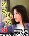 不灭传说封面