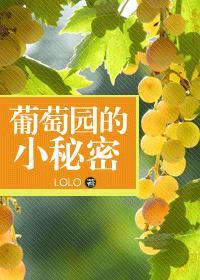 葡萄园的小秘密封面