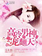 高冷男神，宠翻天！封面