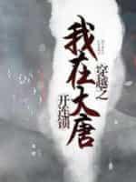 穿越之我在大唐开连锁封面