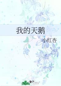 我的天鹅封面