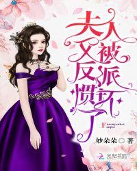 夫人又被反派惯坏了封面