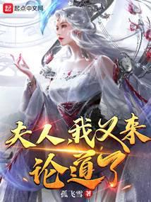 夫人，我又来论道了！封面
