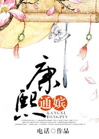 康熙通嫔封面