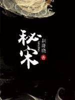 秘宋封面