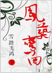 凤筑鸾回封面
