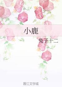 小鹿封面