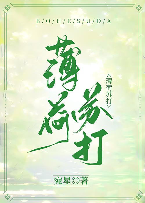 薄荷苏打封面