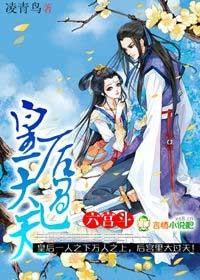 六宫斗，皇后大过天封面
