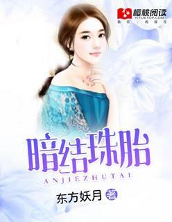 暗结珠胎封面