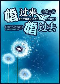 婚过来，婚过去封面