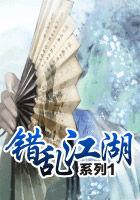 错乱江湖系列1封面