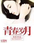 青春岁月封面