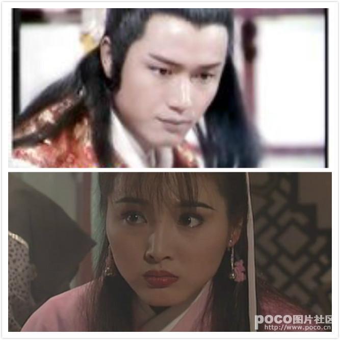 射雕之我成了何沅君封面