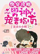 快穿攻略：男神宠妻指南封面