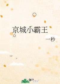 京城小霸王封面