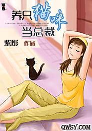 养只猫咪当总裁封面