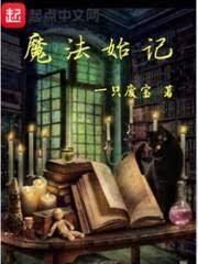魔法始记封面