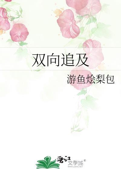 双向追及封面